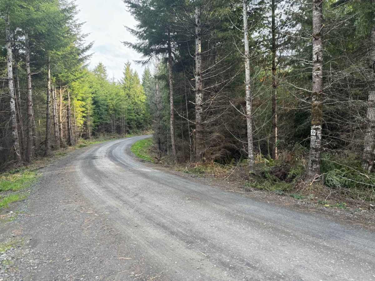 Karth Road trail photo