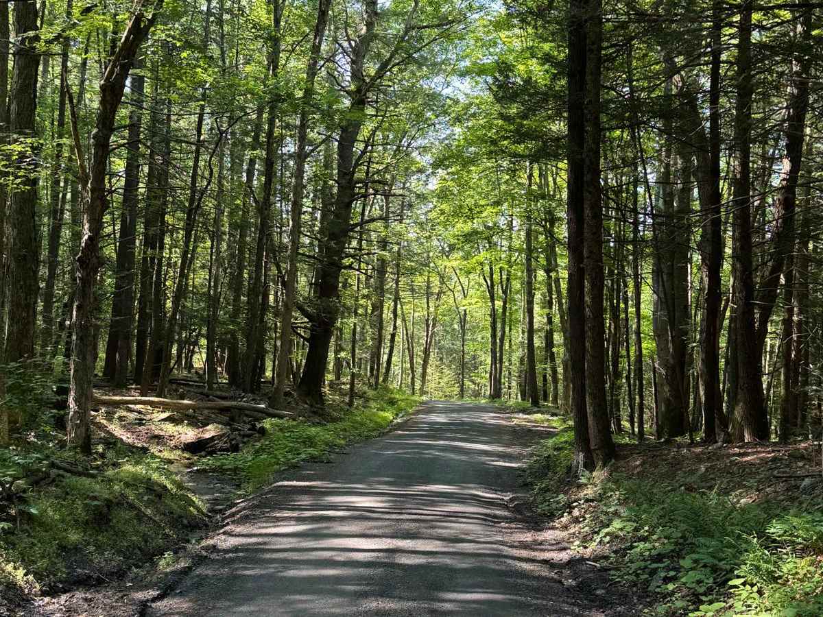 Lundy Road photo 2