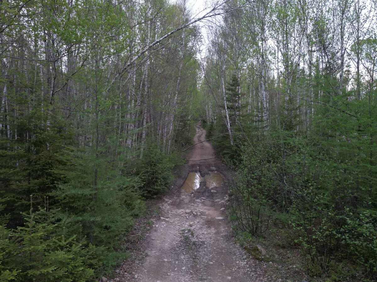 Douglas Clear Cut Bypass trail photo