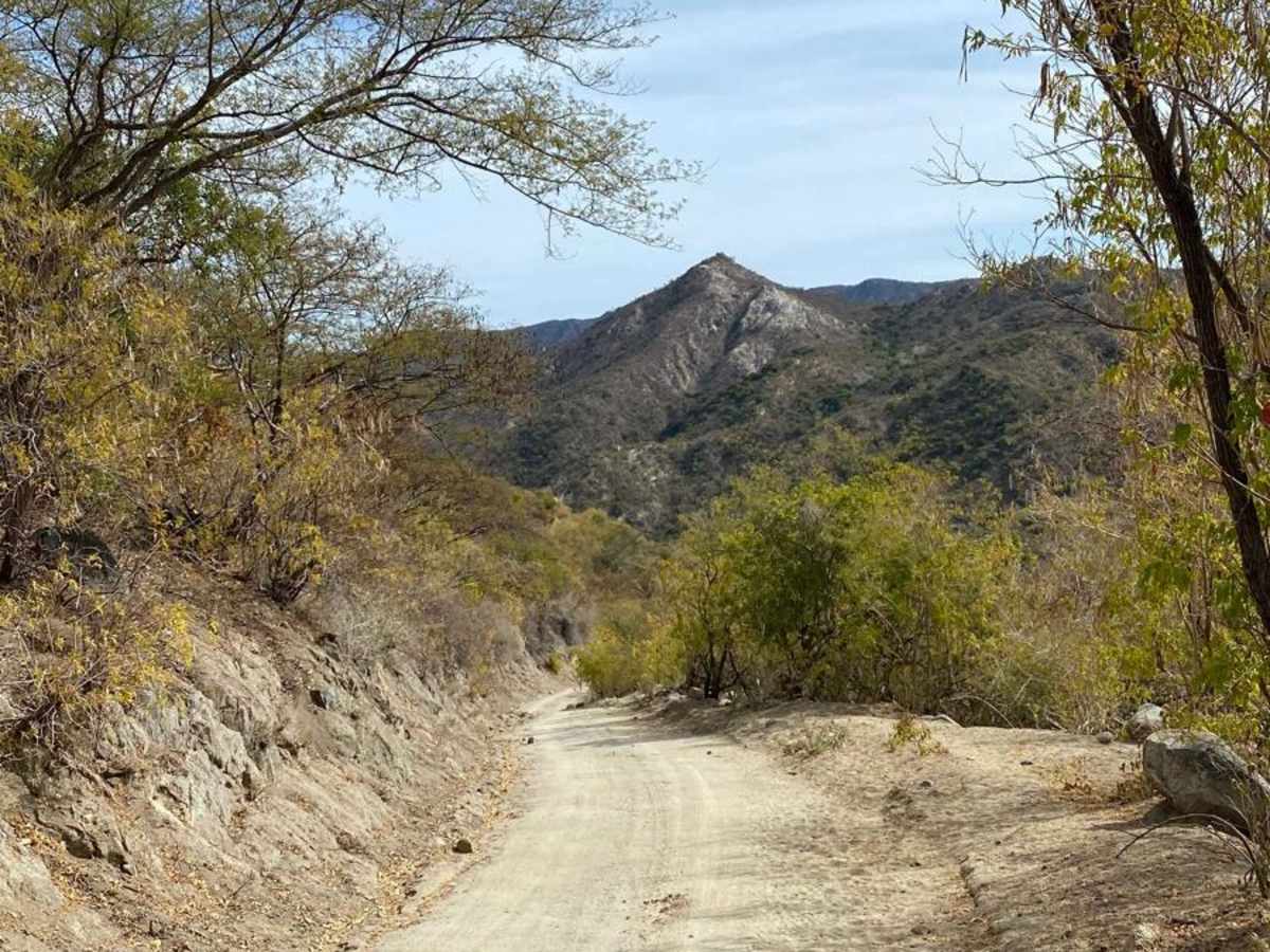 Sierra Laguna photo 2