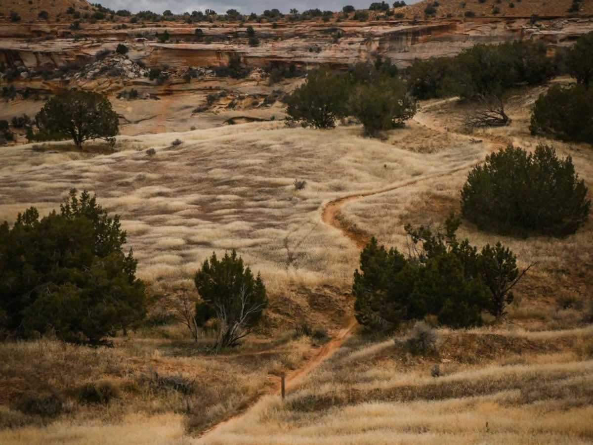 Trail 6 photo 5