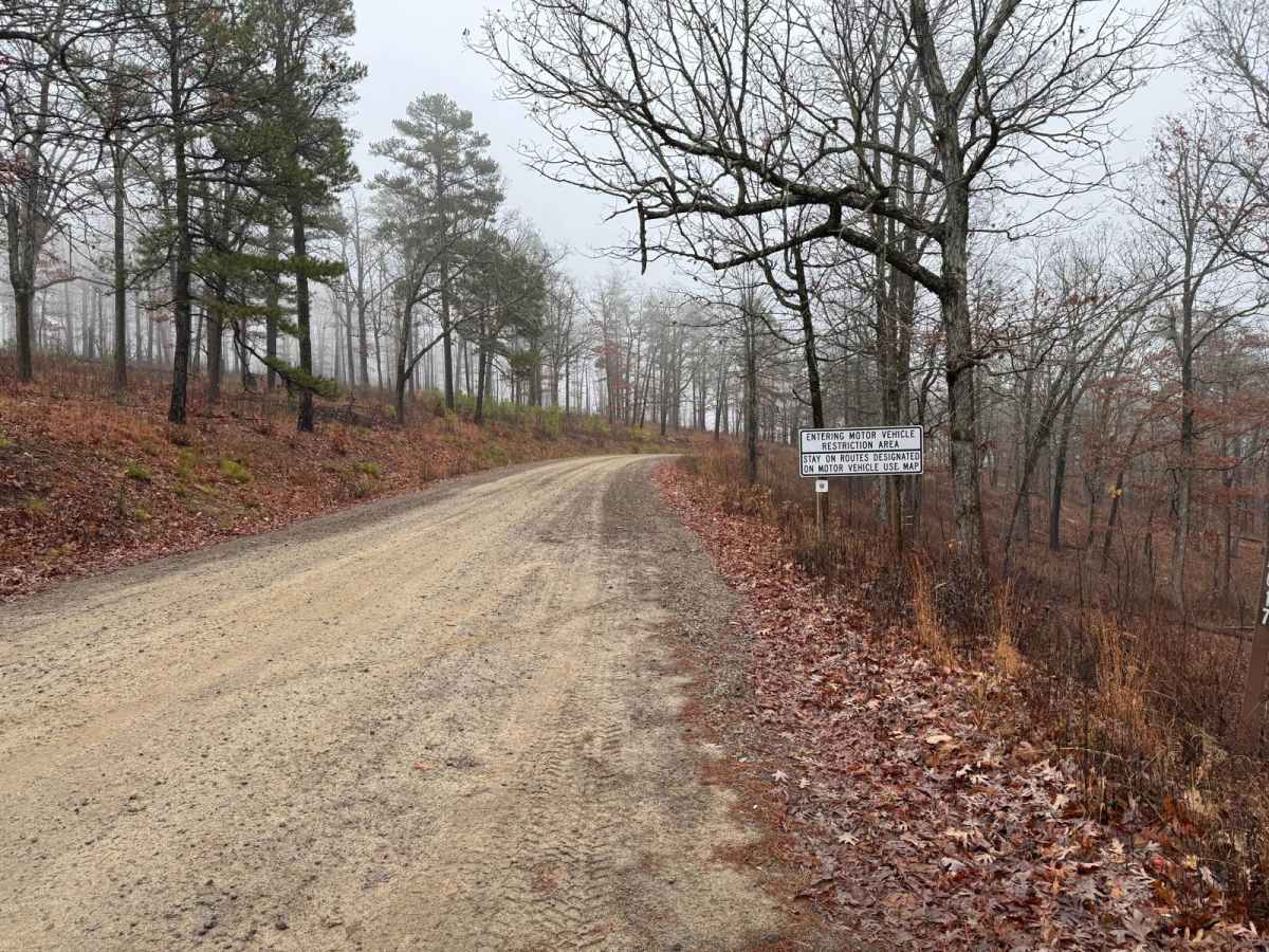 Victor Road trail photo