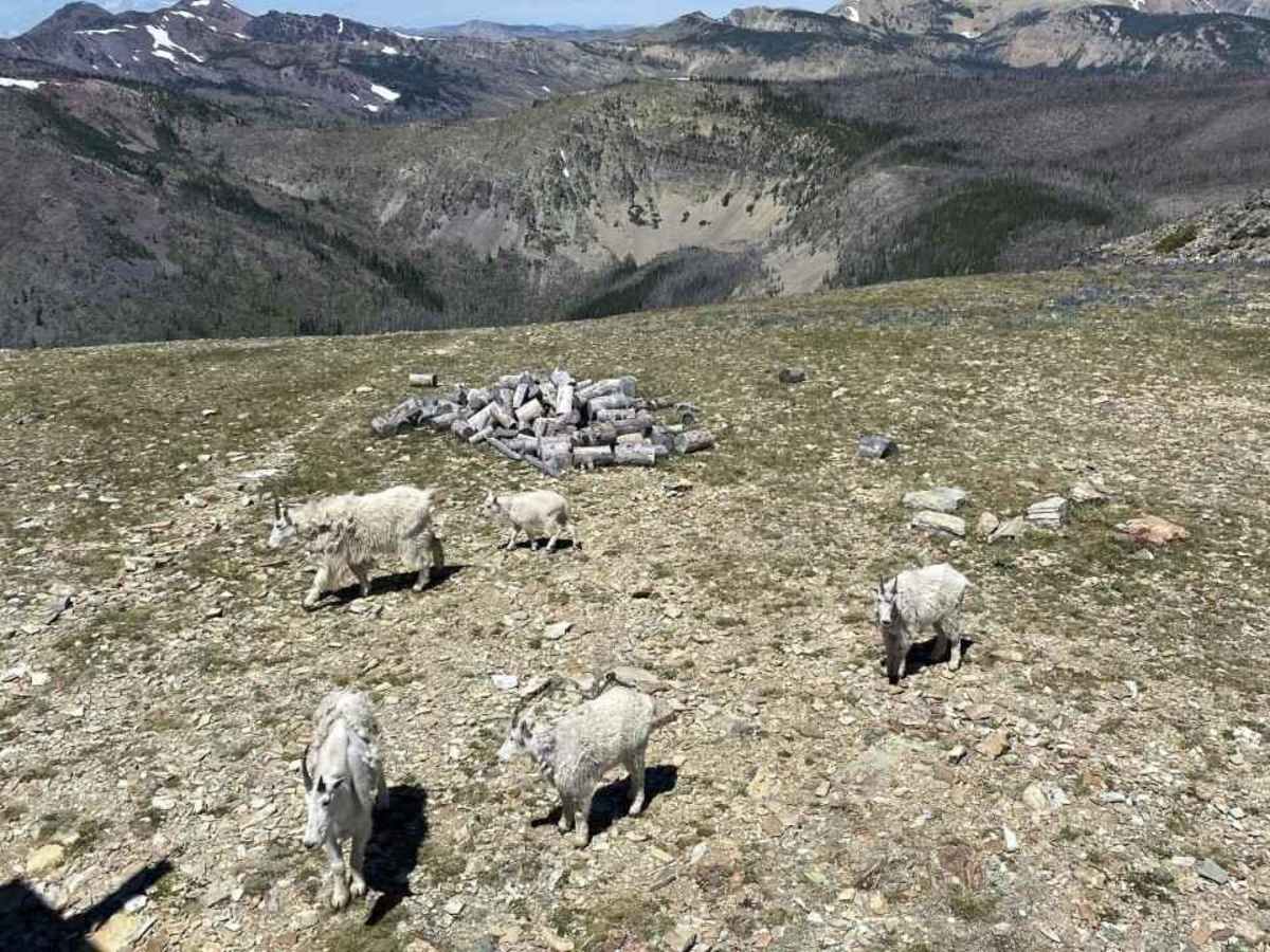 Stonewall Mountain Lookout photo 4