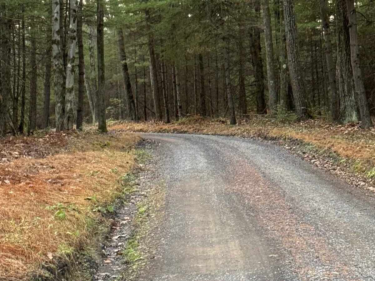 Hicks Road photo 2