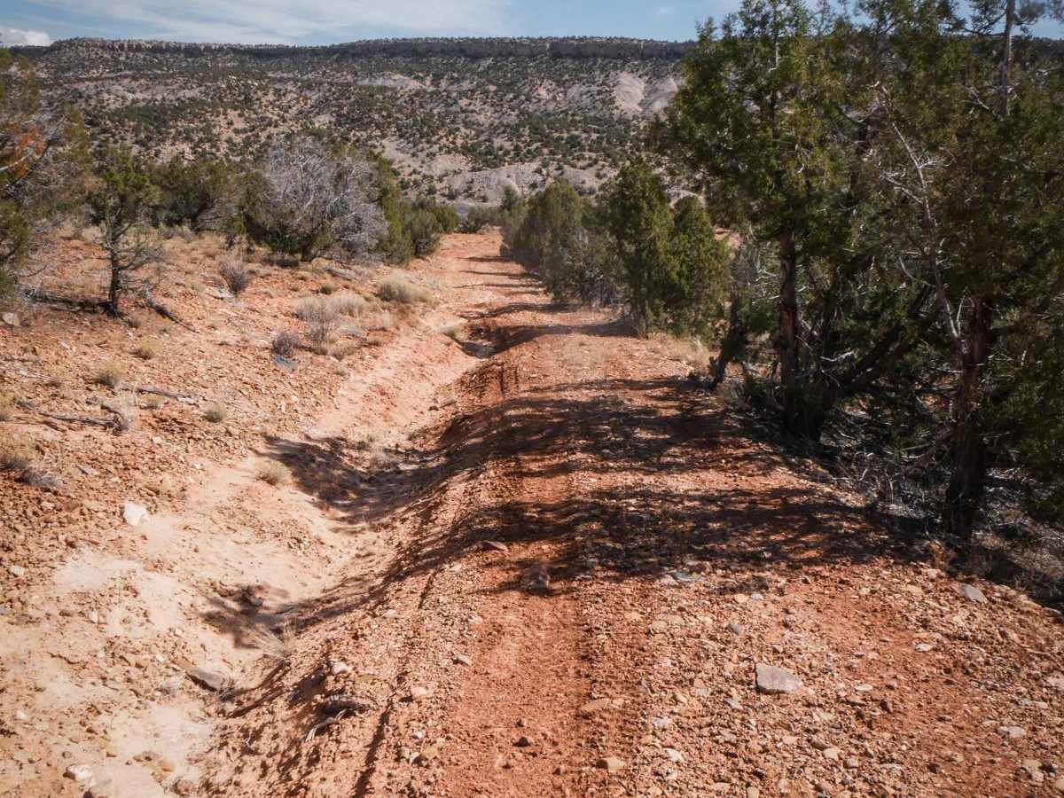 Trail 1 photo 3