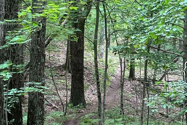 Holton Loop Motorcycle Trail South