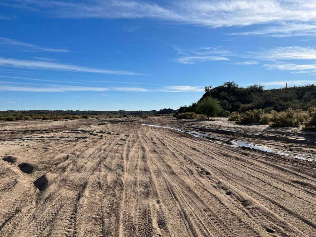 Hassayampa River trail photo