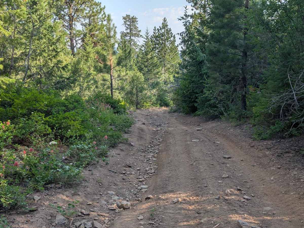 Road 374 - Northern Portion photo 5
