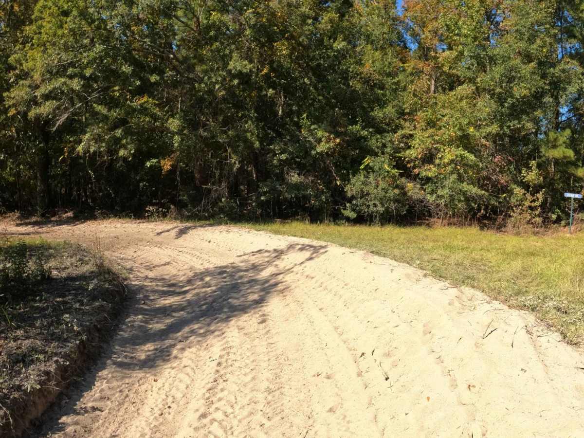 Devine Drive photo 4