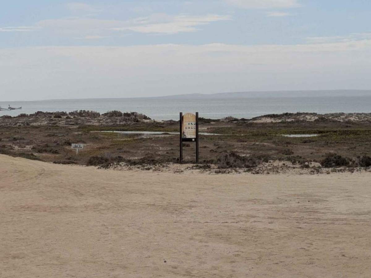 Ojo de Liebre Lagoon photo 6