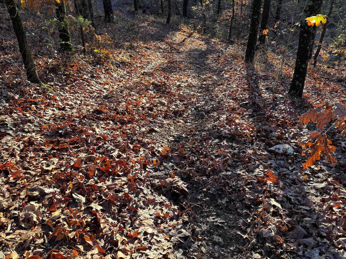 Yellow 114 trail photo