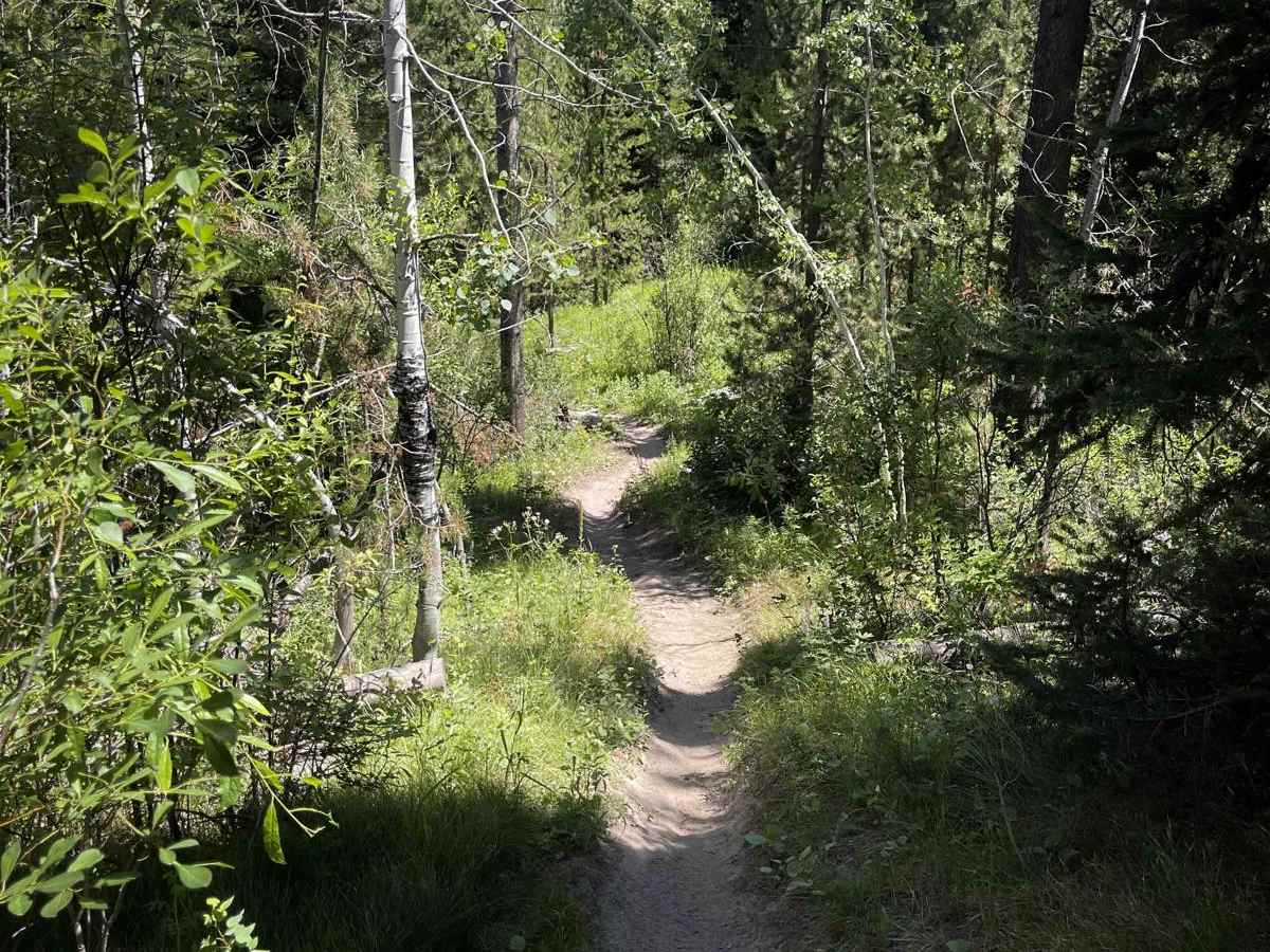 Rock Creek photo 5