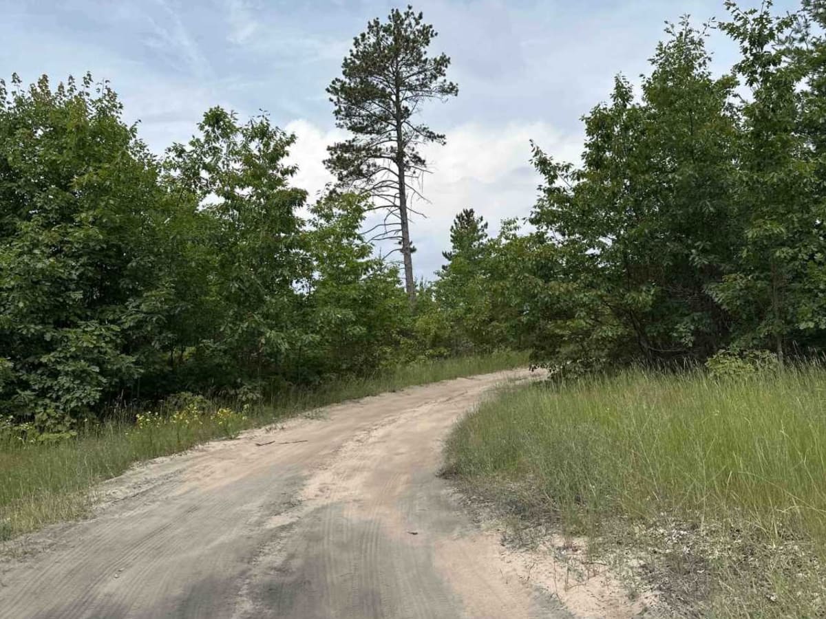 North Pike Lake trail photo