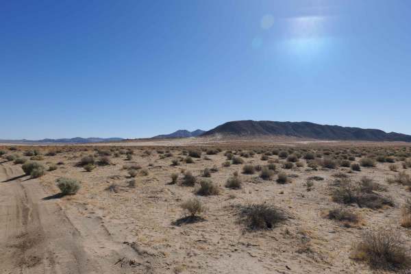 Sand Dune Expedition