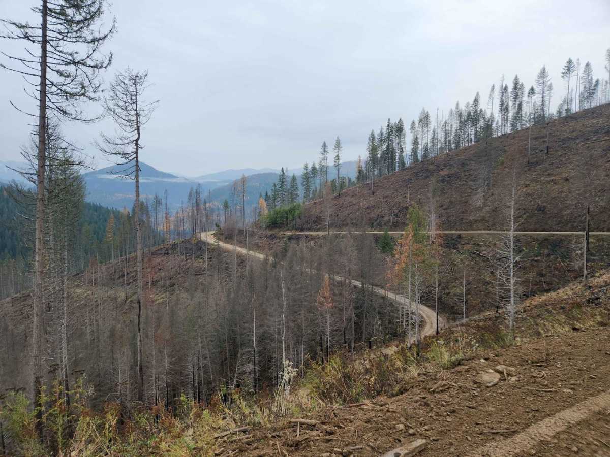 Character Ridge photo 2