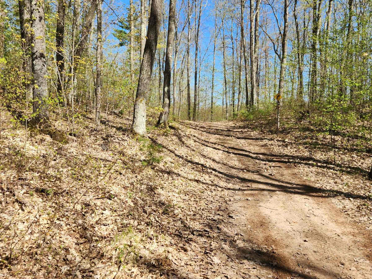 Trail 57 trail photo