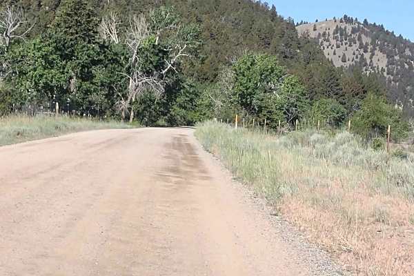 Cattle Drive to Bear Gulch
