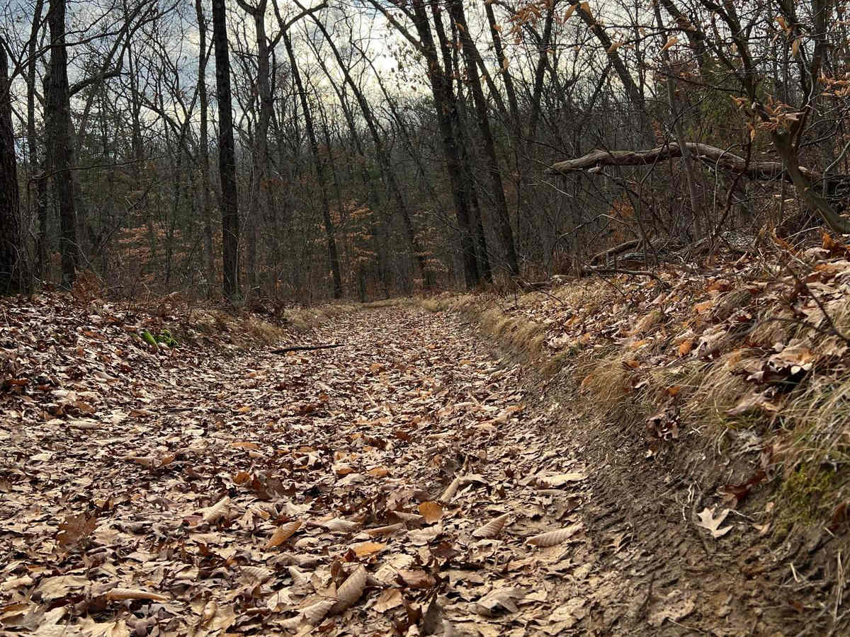 NFS 5179 photo 5