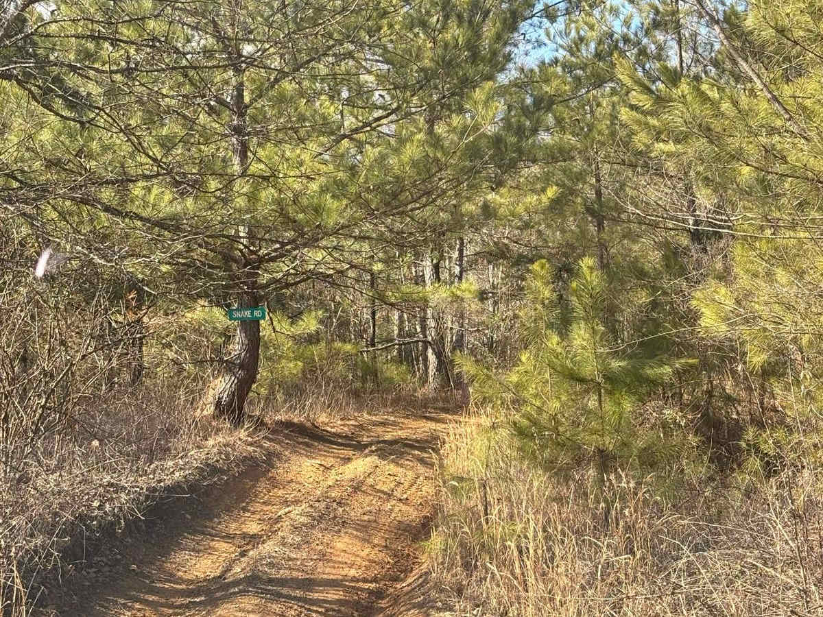 Snake Road trail photo