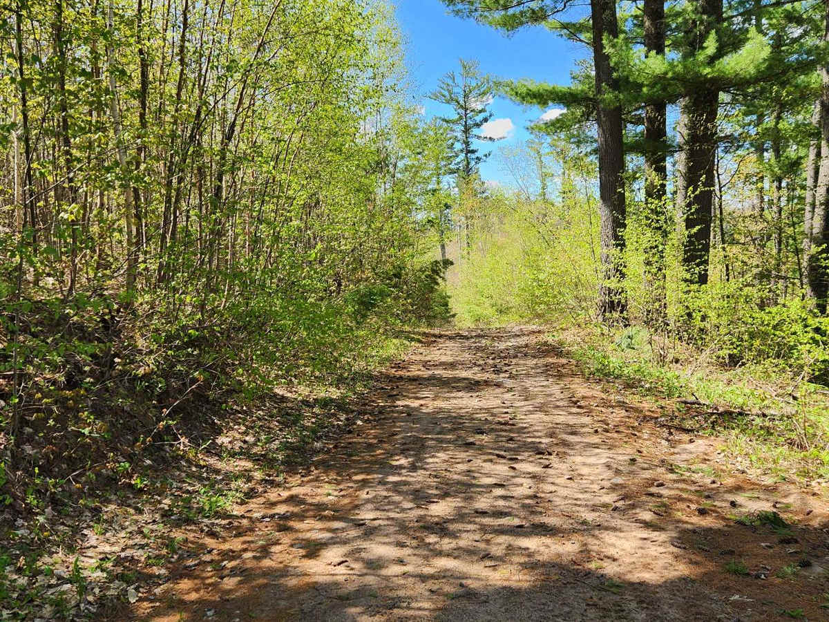 Tuscobia State Trail - Park Falls to Loretta photo 6