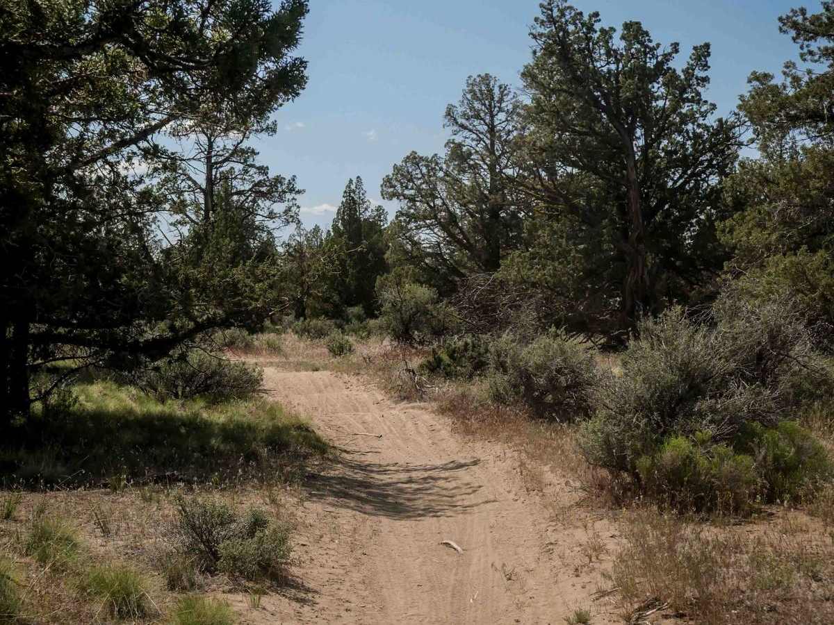 74 trail photo
