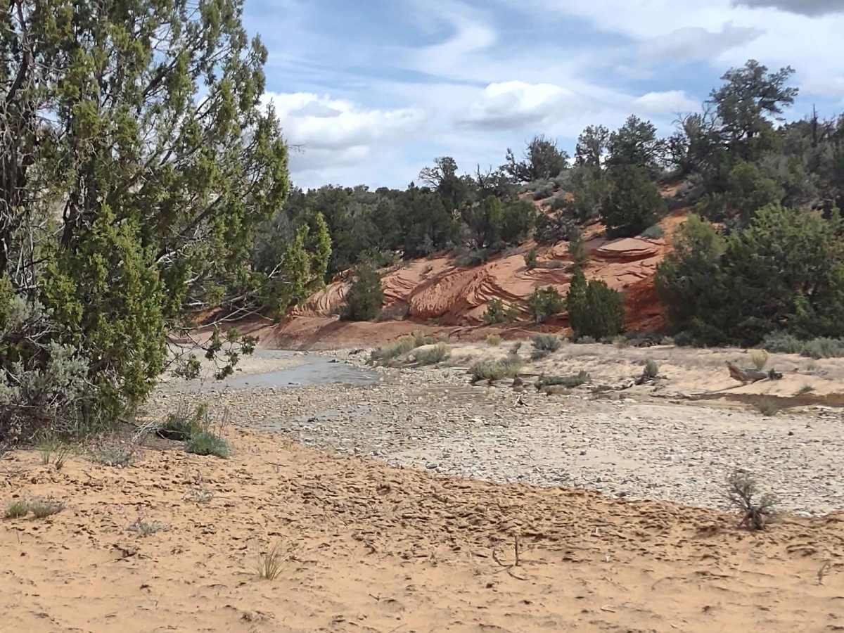 Kanab Creek Trail photo 5