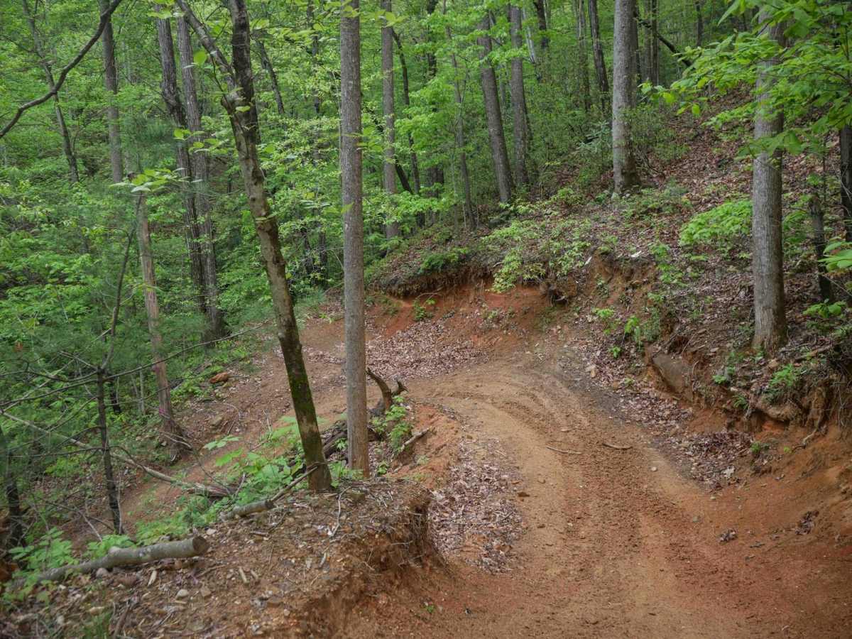 1B Upper trail photo
