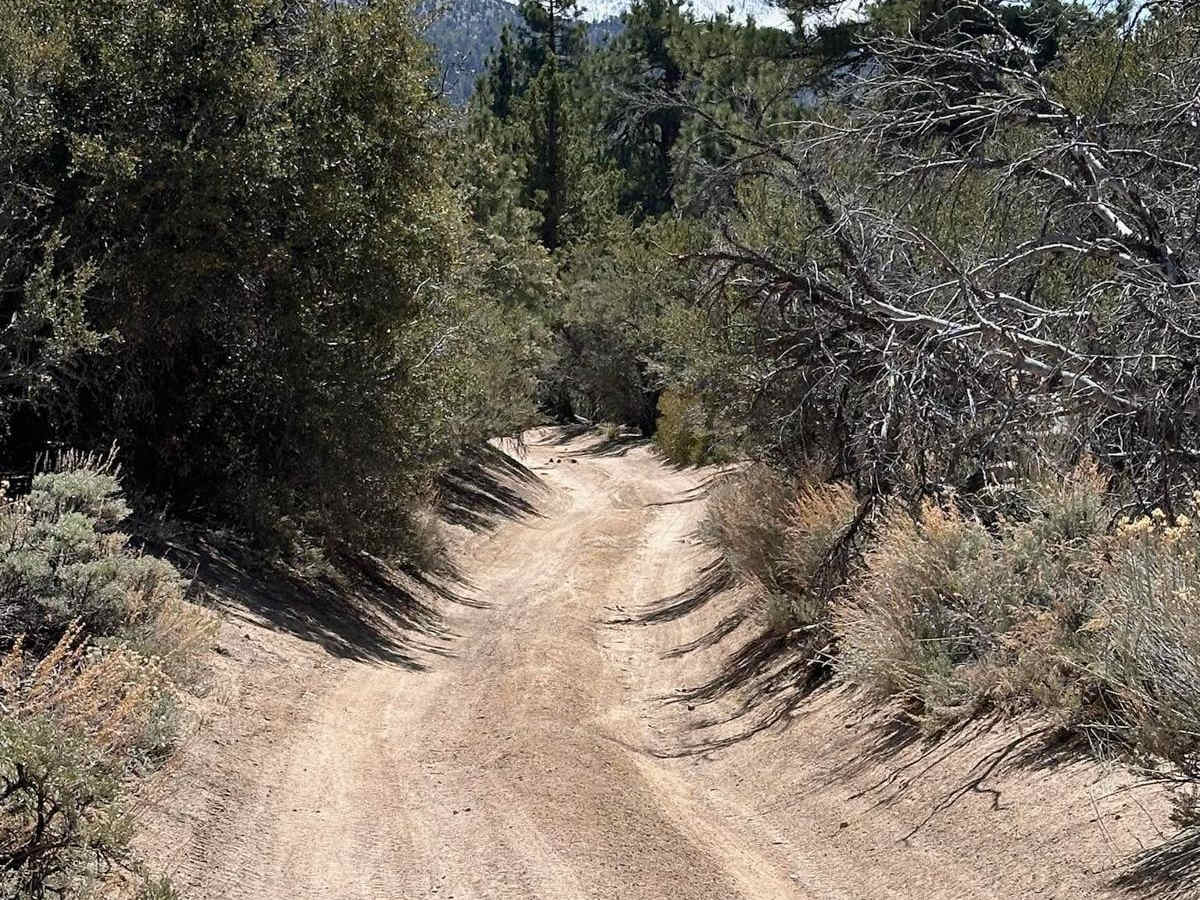 Harvey Mine - 3N43 photo 4