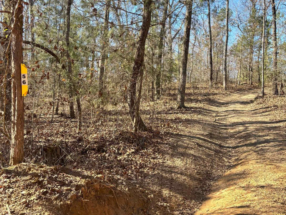 56 trail photo