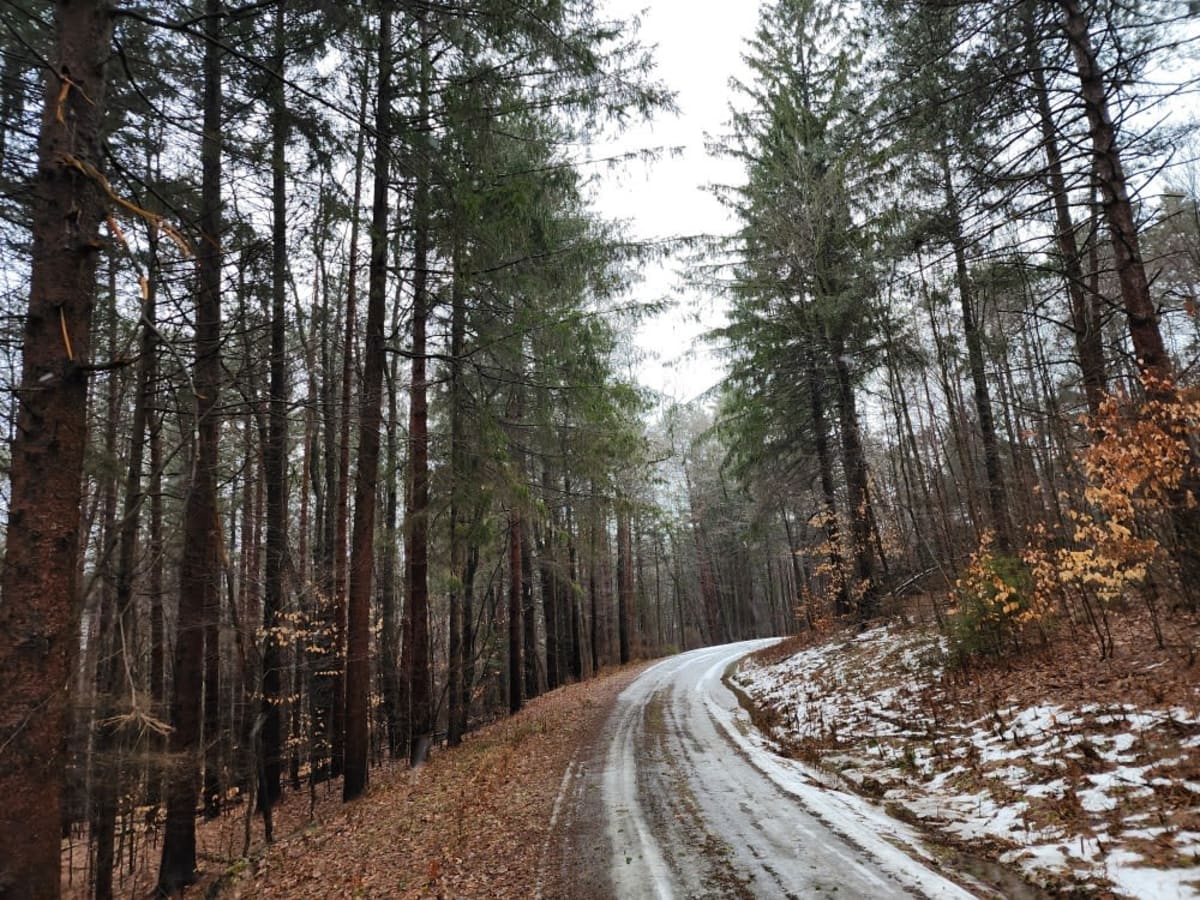 Snyder Hill PFAR trail photo