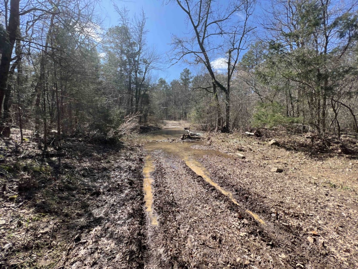 Boose Hollow 649 photo 3