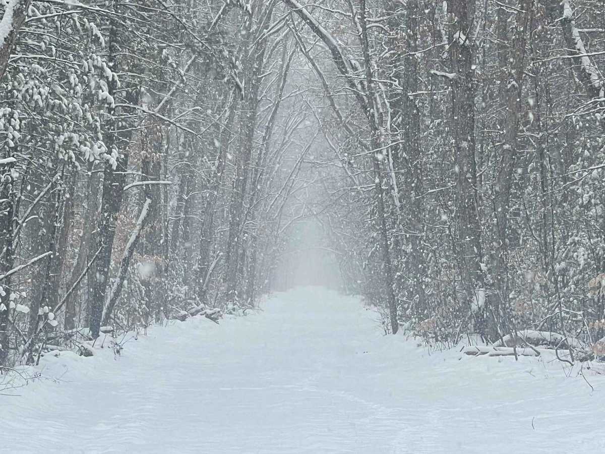 Allegan Trap Bend Trail photo 2