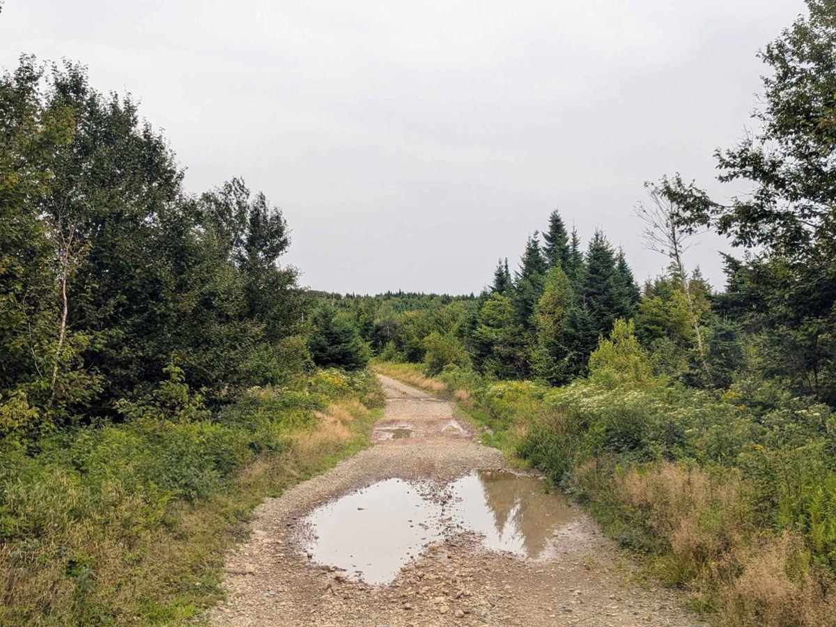Connors Mountain Road photo 6