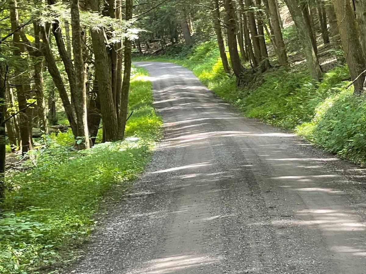 Robbins Run Road photo 5
