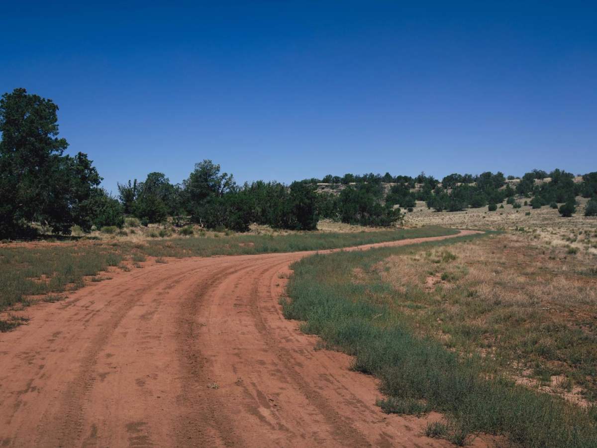 Wild Bill 7 photo 3