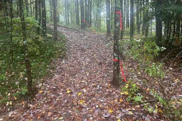 192 Single Track