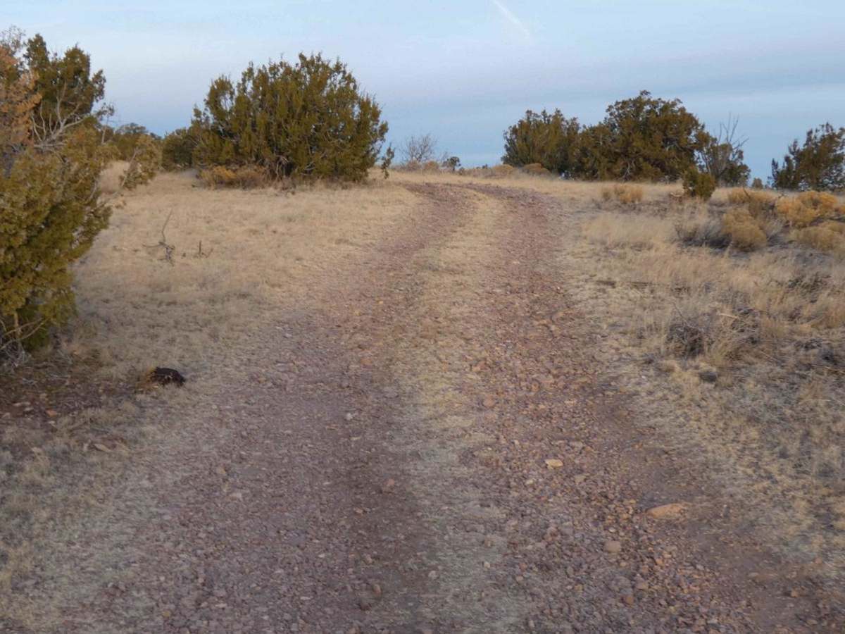 Gallinas Palisade photo 3