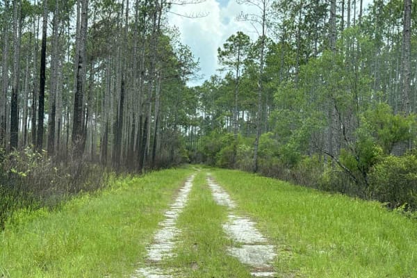 Camp Loop Road