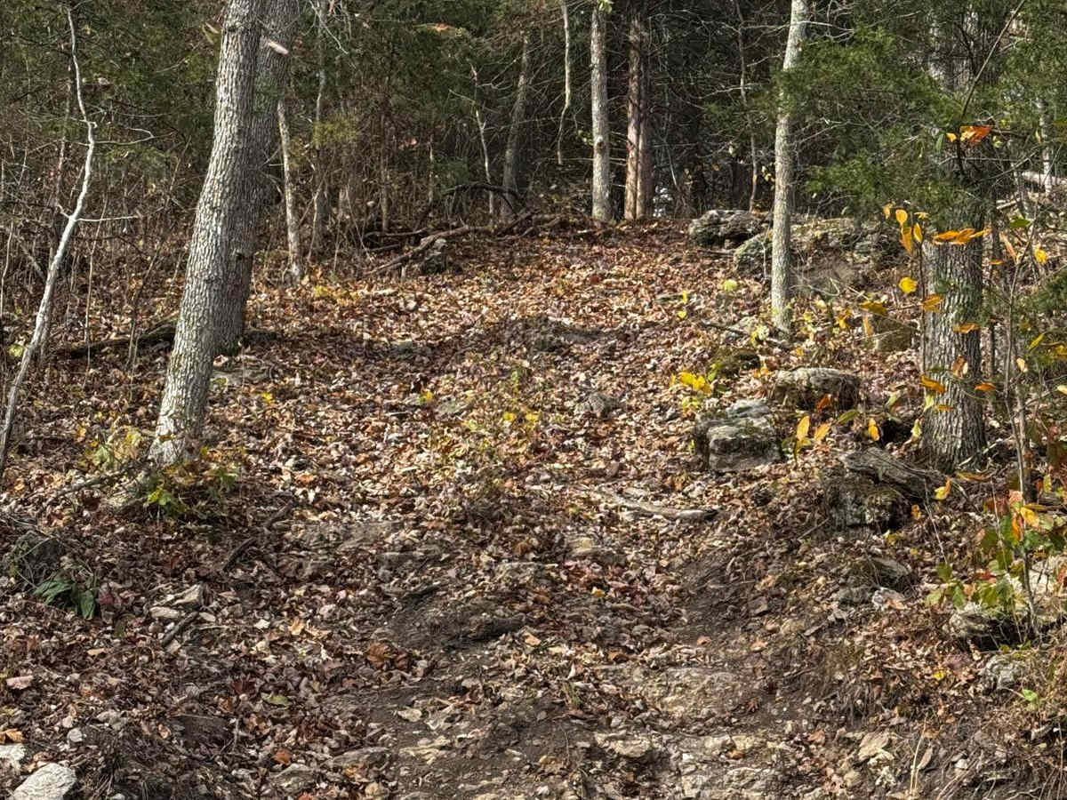 Tim's Hill trail photo