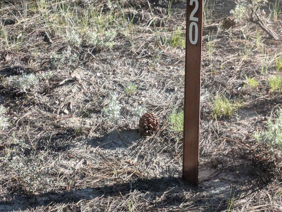 3S120 trail photo