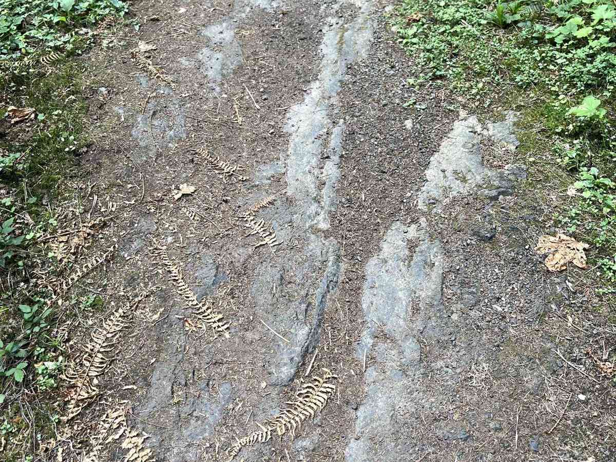 230 photo 3