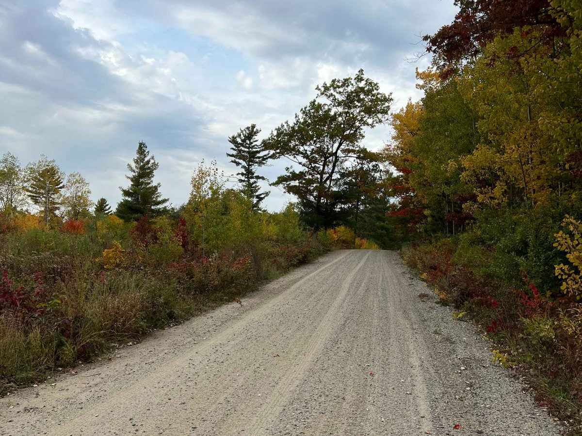 Parkway Forest Road photo 5