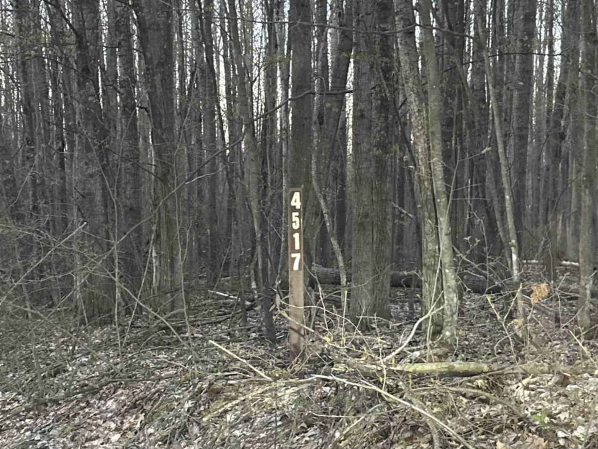 FS 4517 trail photo