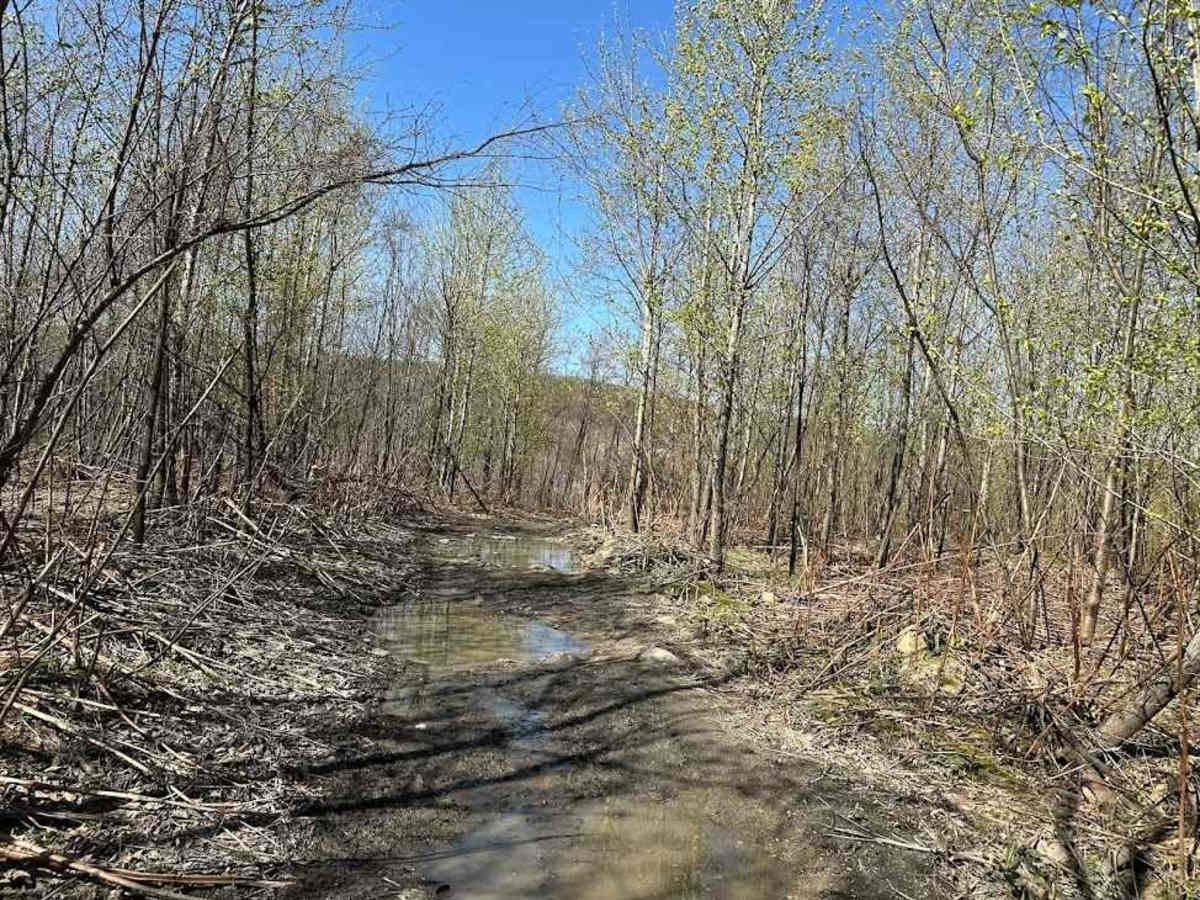 St. Keirns 28 trail photo