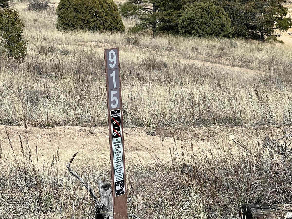 FS 915 Boundary Bowl trail photo