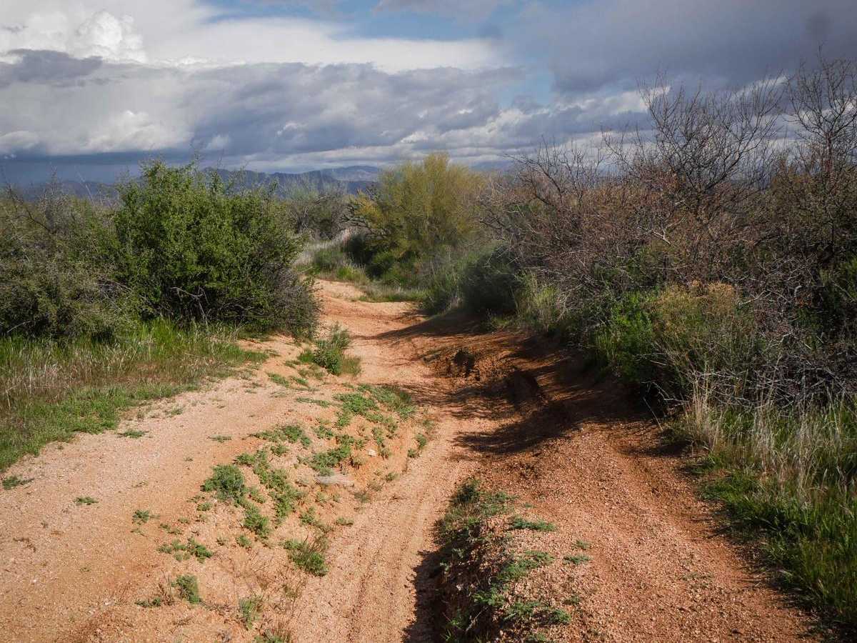 Camp Creek Access ATV Trail photo 3