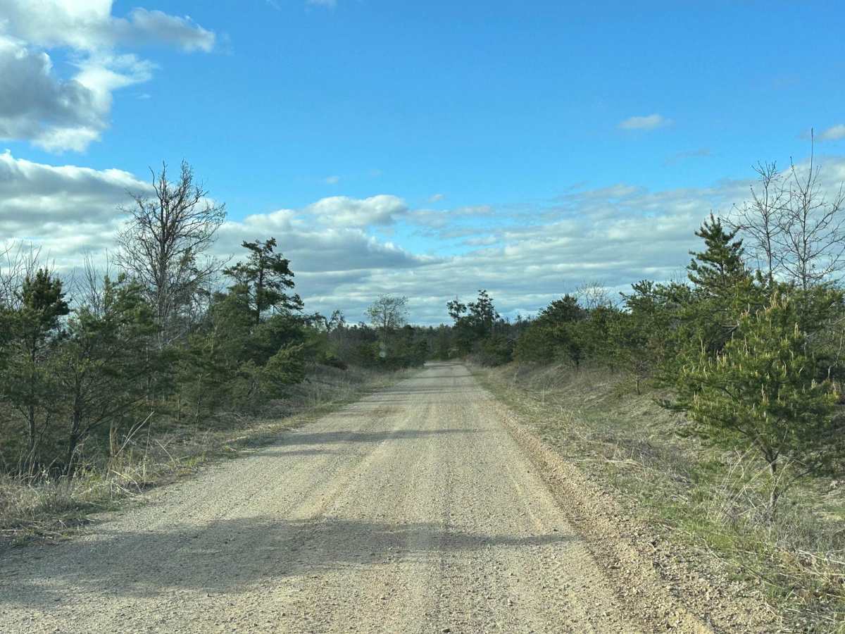 FS 4146 photo 2