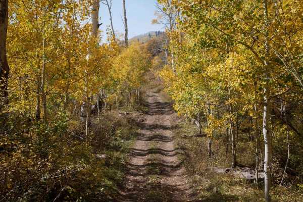 Spring Creek ATV Trail (West)