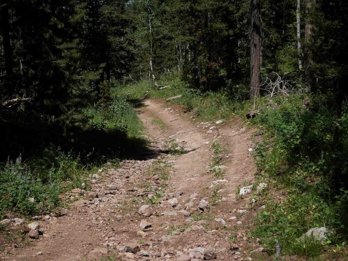 Cold Springs/Upper Dry Valley #5206 trail photo