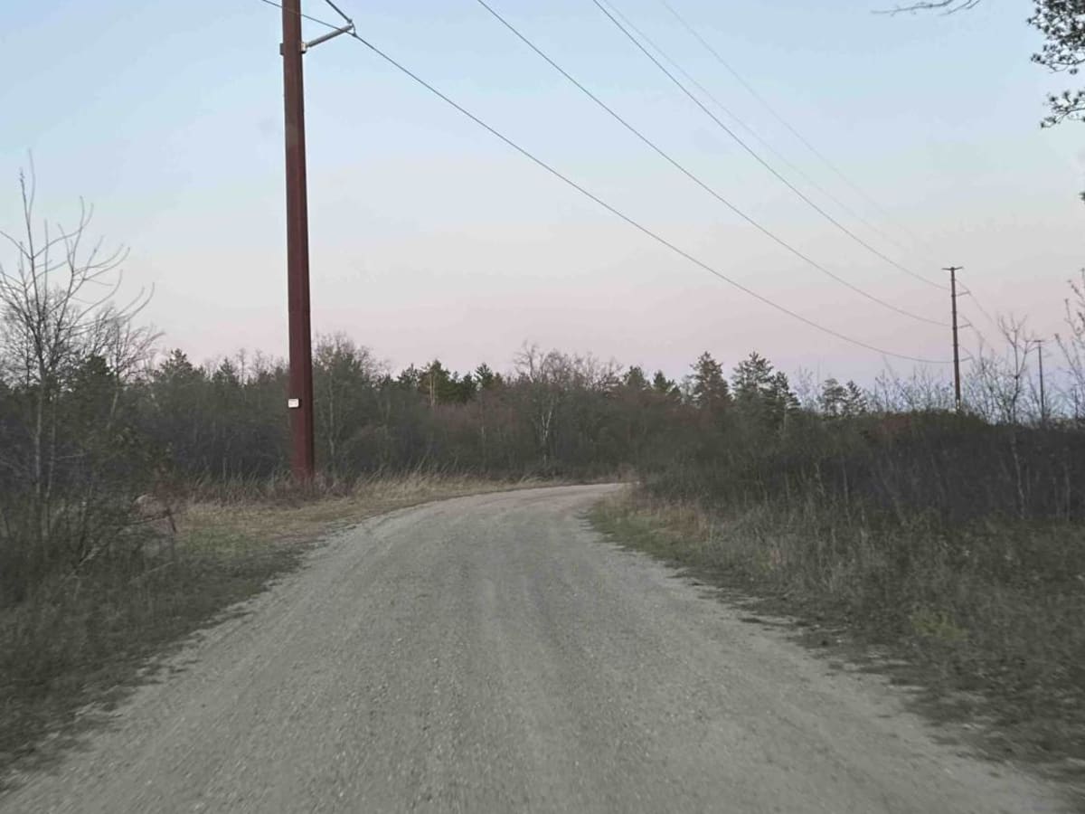 FS 3999 photo 4